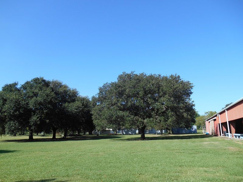 13505 Junius Rd, Abbeville, LA 70510